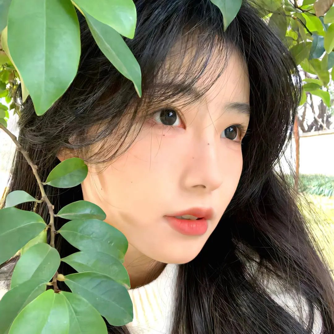 奶牛阴谋